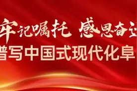 阜阳！招聘教师497人！入编！图片