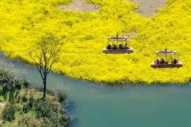 涪陵：云海繁花间，开启生态食春之旅图片