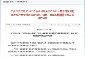 中华田园犬（土狗）正式解禁！广州新版禁养危险犬名录1月21日起施行图片