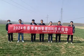 加强麦田早春管理，护航小麦丰产丰收——泰山保险诸城支公司联合诸城市农业农村局开展春季麦田管理现场培训图片