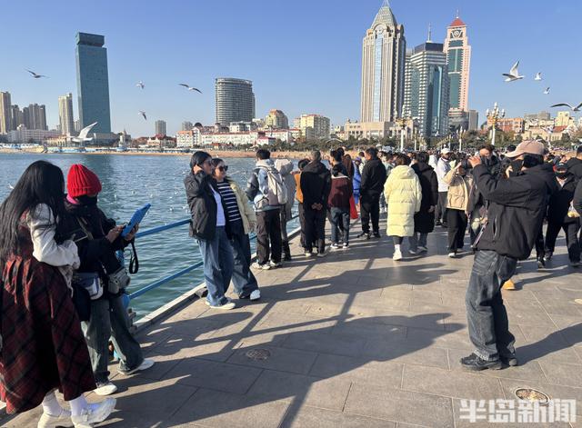 冬日人鸥共舞绘就和谐图景