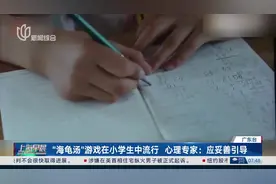 “海龟汤”游戏在小学生中流行 心理专家：应妥善引导
