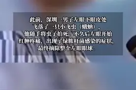 遇见它不要用手拍！一文教你避免飞虫“攻击”图片