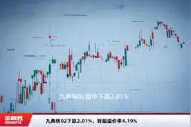 九典转02下跌2.01%，转股溢价率4.19%视频封面