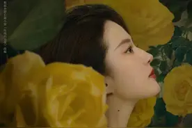 电视剧《玫瑰的故事》热播，刘亦菲多面演绎独立女性图片