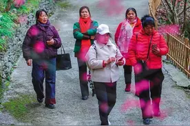 古寨梅韵里的文旅密码图片