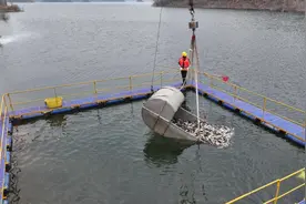 北京密云水库进入“禁渔期”  800吨净水鱼苗将放流入库图片