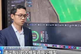 DeepSeek出圈掀起热潮，大模型落地应用已“遍地开花”图片