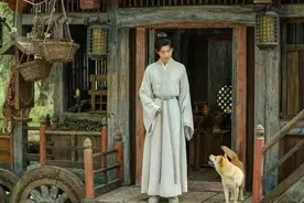 浙江一只小黄狗，搭档男星成毅火了！图片