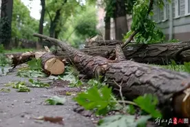 台风“康妮”险些刷新纪录，今夜远离上海，冷空气紧随其后图片