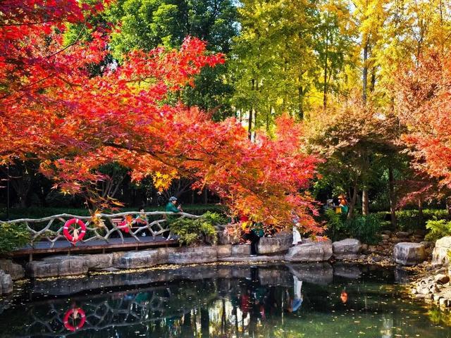 凭实力出圈！静安这座“宝藏公园”获国家级“儿童友好”认证！树屋、滑梯、秋千……太好玩啦