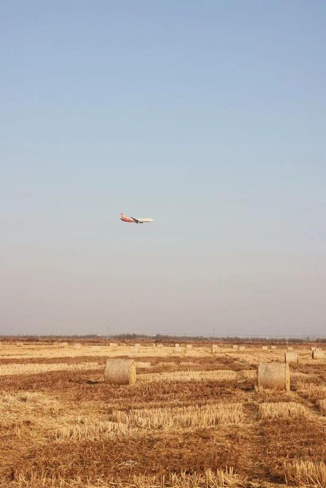 东营市区出发半小时直达，离你最近的“瑞士卷”竟然藏在稻田画！