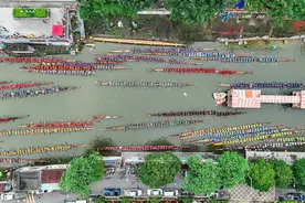 77支龙舟队！超20万群众！ 肇庆这场龙舟赛燃爆！图片