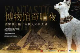 去上博参观可带喵星人，细则公布引围观！网友：猫猫现场交友会，格局打开图片