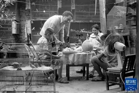 以前是卡拉OK，现在是Citywalk图片