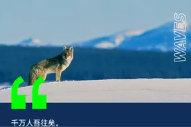 靠拼多多赚最多钱的投资人图片