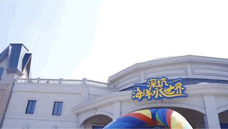 不用出上海就能解锁海滨度假！尽享夏日玩水乐趣→