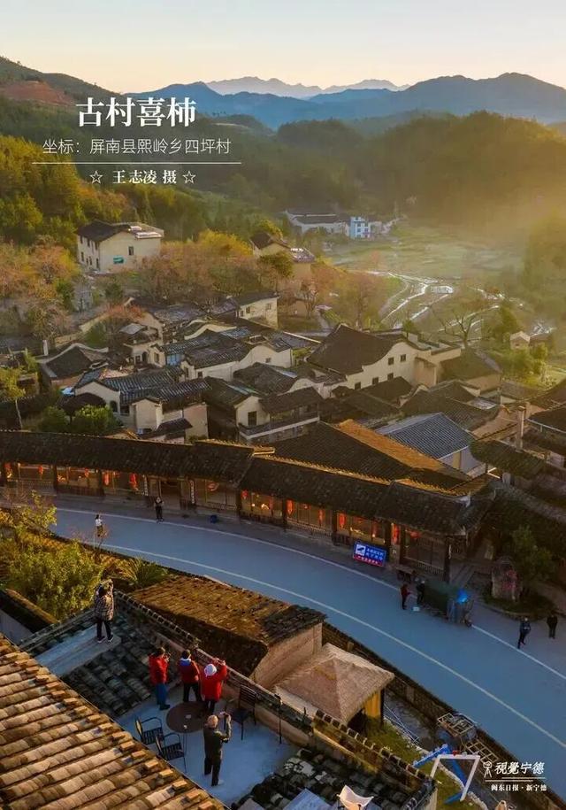 走！去屏南！这些柿子打卡点请收好→