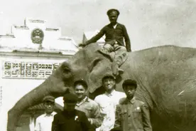 70年前，大象坐火车来到上海图片