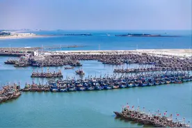 黄渤海开海 山东日照再现“千帆竞发”图片