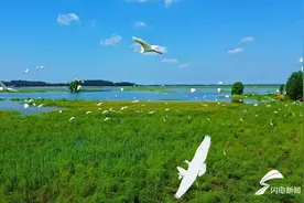 潍坊市峡山水库管理服务中心：勇担保水护水使命 争创一流水管单位图片