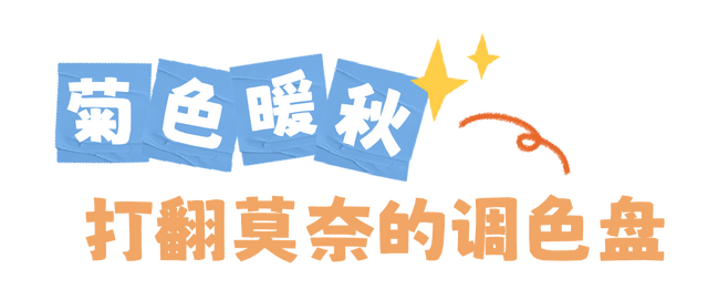 圆锥绣球+硫华菊盛放！植物园双花展上新！