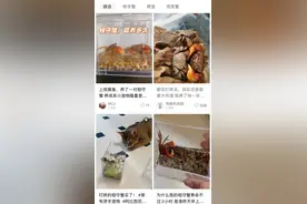 今年520，“相守蟹”火了！你买了吗？图片