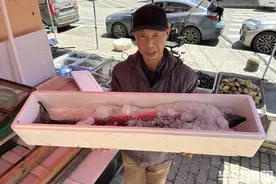 就爱这一口！青岛本地鲅鱼再次降价图片