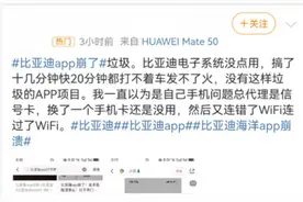 比亚迪App早高峰崩了？车主称无法解锁车辆，现已恢复正常图片