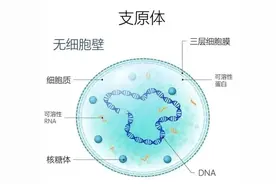 不发烧也会得肺炎？家长们 这种疾病处于感染高峰图片