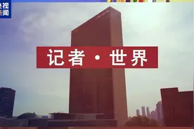 央视记者观察丨联合国聚焦加沙地带三个关键词图片