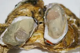 威海市8个水产品成功入选中国农耕农品记忆索引名录图片