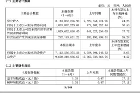 酒业半年报进行时丨迎驾贡酒如何坐稳徽酒老二图片