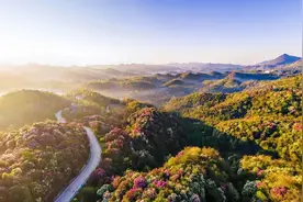 走！“五一”畅游贵州百里杜鹃，5A+4A+3A”三重景区免门票图片