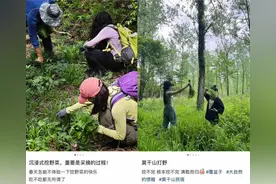 潮评丨“打野”，不能成撒野图片
