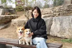 果然视频｜对话柯基警犬“福仔”原主人：有不舍，但想成就它图片