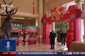 春节消费市场大揭秘 “上门代厨”成新潮流 家政服务火热图片