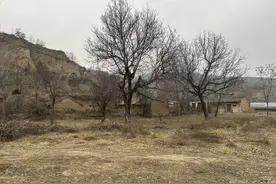 当“娜拉”荣归故里图片