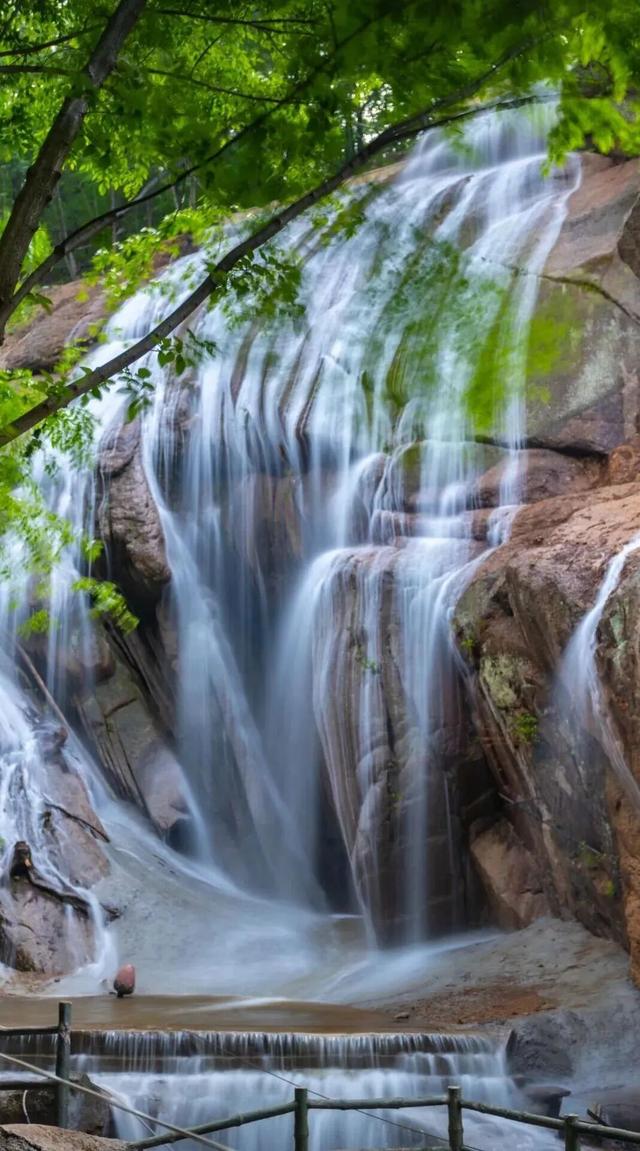 待天晴，看洛阳漫山姹紫嫣红→