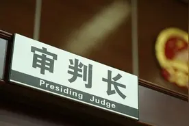 父亲为争抚养权擅自将孩子带走？母亲申请人格权禁令获准！图片