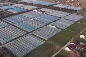 江苏：“菜篮子”供应足 保障市民过好“舌尖上的春节”图片