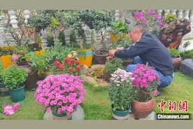 “小透明村”花成景 湖南洪江“花卉下楼”打造和美乡村图片