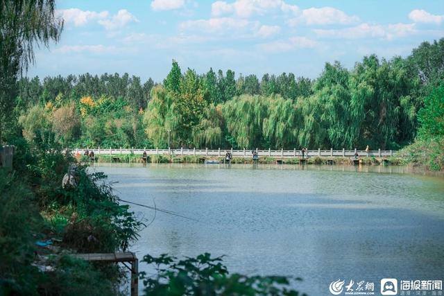 这一站，济南！鹊华新城新气象——网络名人巡访团解锁起步区文旅新魅力
