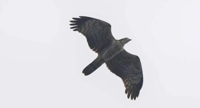 无锡最新追“星”指南，速收藏！