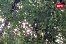 高考前“最后一课”：因为你们  一路绚烂图片