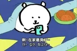 史上最佛性的表情包，果不其然被焦虑又内卷的中国网友深深爱上图片