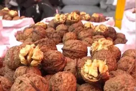 只剩20天左右了，很快落潮！吃货抓紧！图片