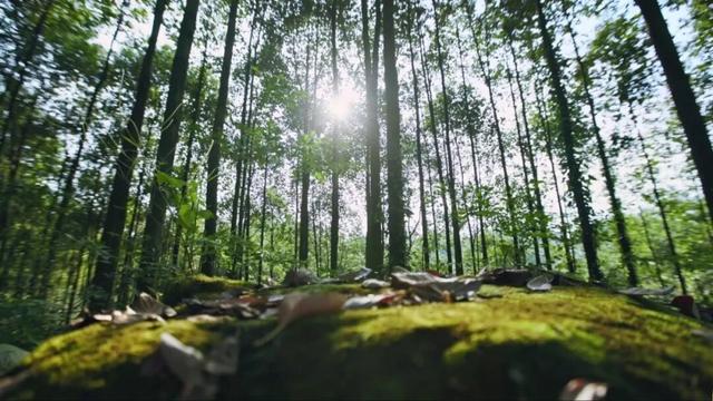 组个“橘” “宜”起“都”来解锁新乐趣→