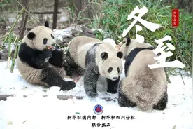 节令之美·冬至丨冬至，如约而至图片