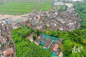 起凤环社区：凤鸣黄桐林，侨情深几许｜中山侨村行⑦图片